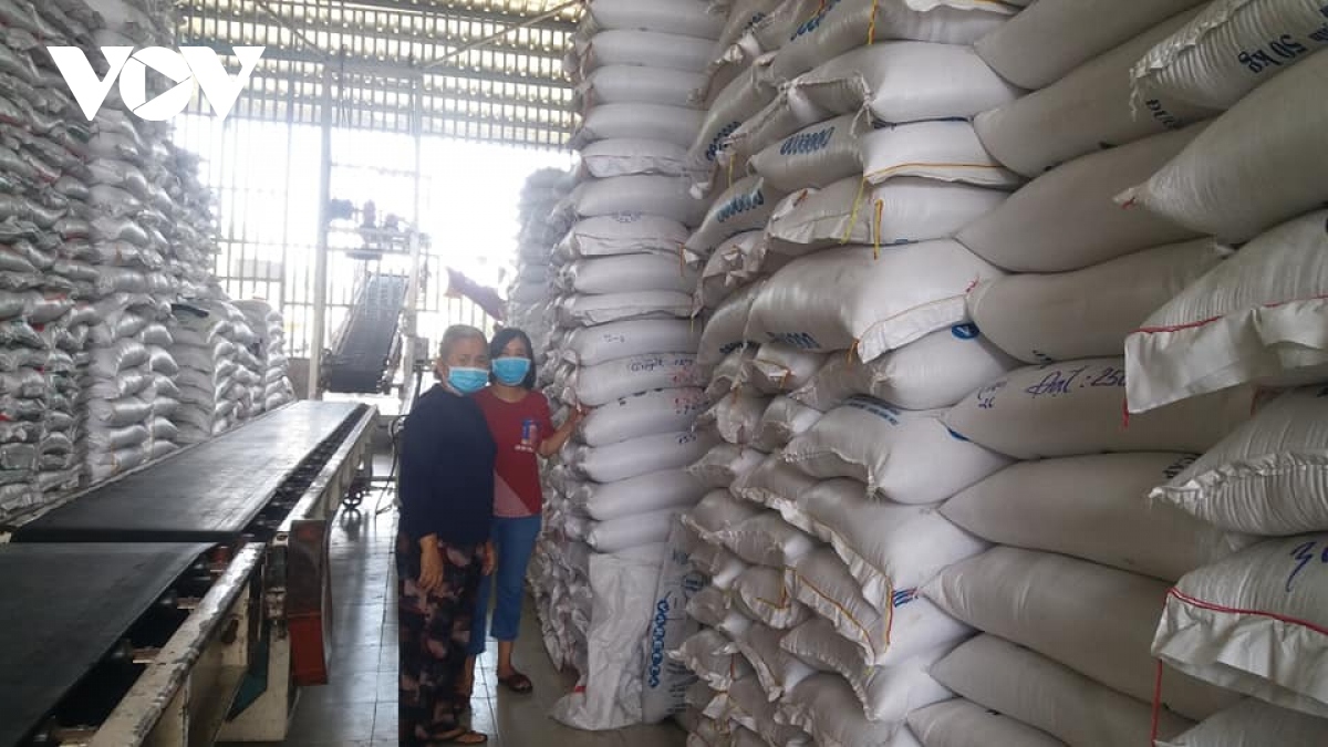 Xuất khẩu thuận lợi, giá lúa gạo tăng mạnh