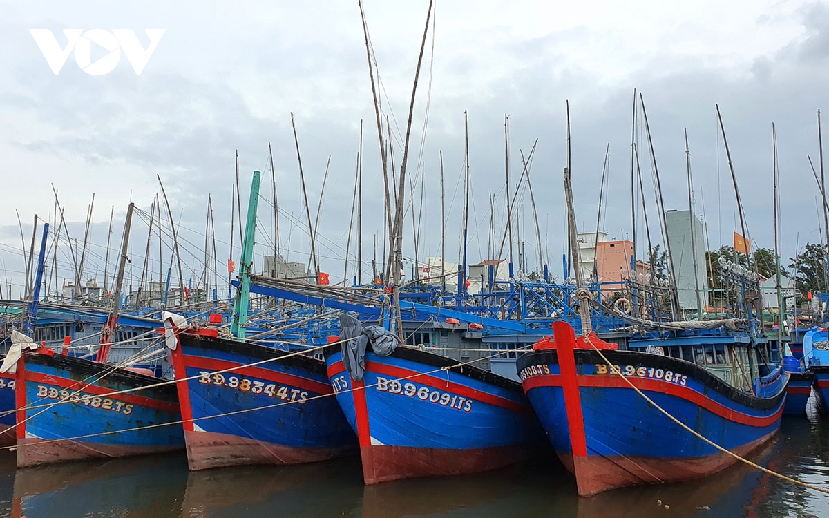 Còn 9 tàu cá Bình Định nằm trong vùng ảnh hưởng bão số 12