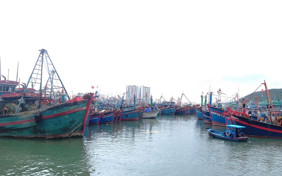 Bão số 12: Các tỉnh Nam Trung bộ cấm biển, kêu gọi tàu thuyền trú, tránh