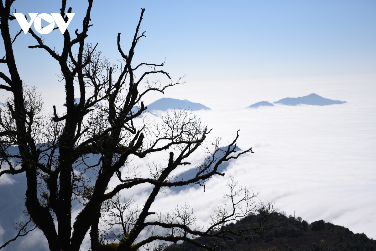 Chinh phục đỉnh Chiêu Lầu Thi 2402m bồng bềnh giữa biển mây