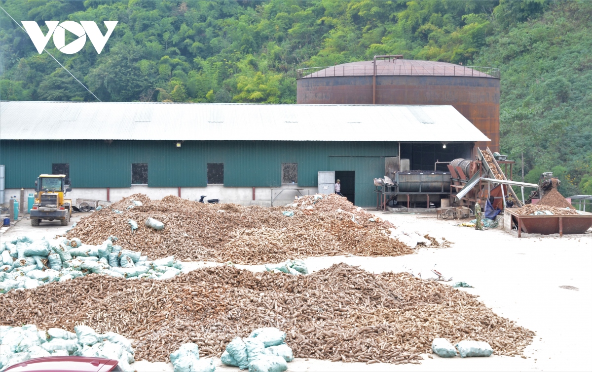 Tạm dừng hoạt động Nhà máy chế biến sắn của Công ty CP Tinh bột Hồng Diệp, Điện Biên