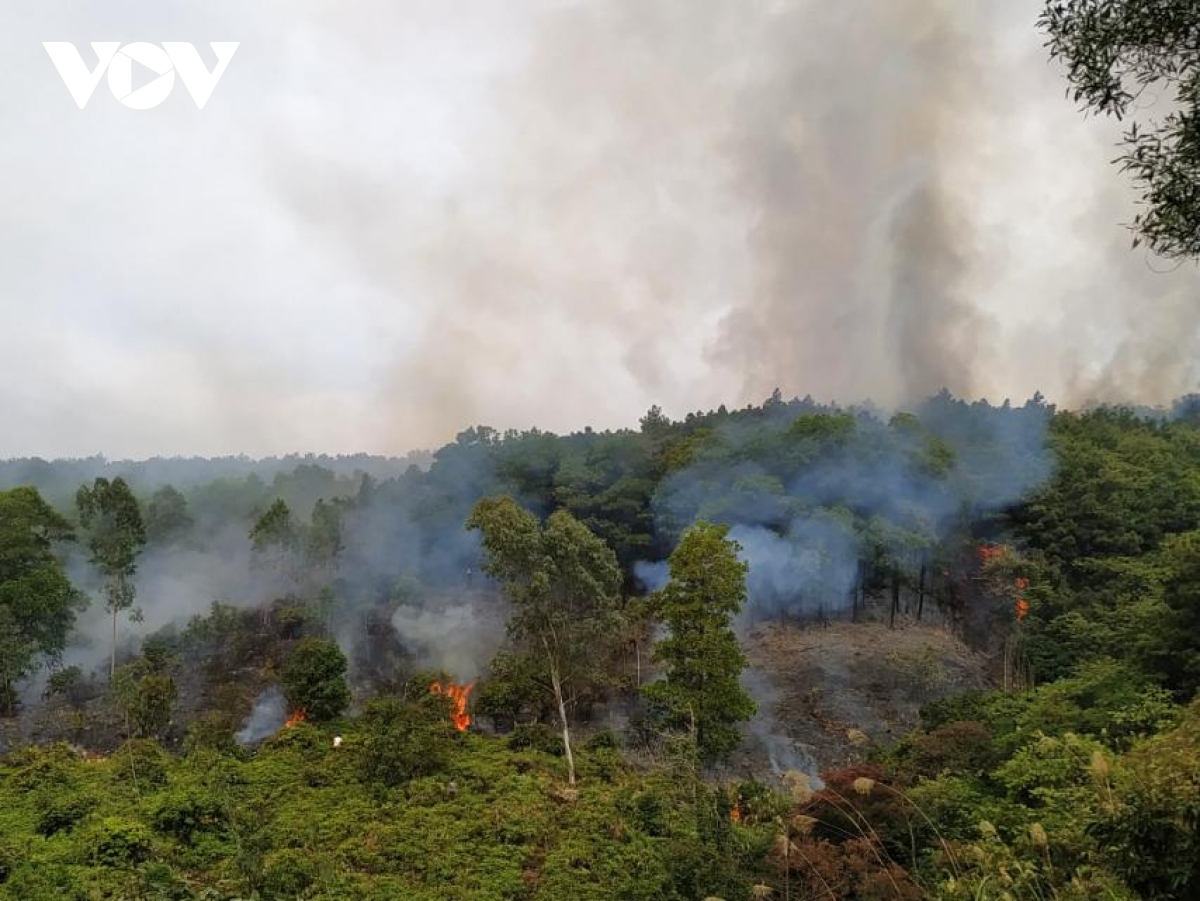 Hàng trăm người thức xuyên đêm dập cháy rừng tại Hạ Long