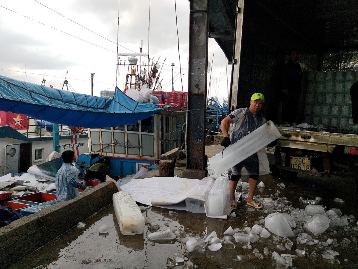 Khánh Hòa: Nỗ lực cấp "giấy thông hành” để tàu cá ra khơi