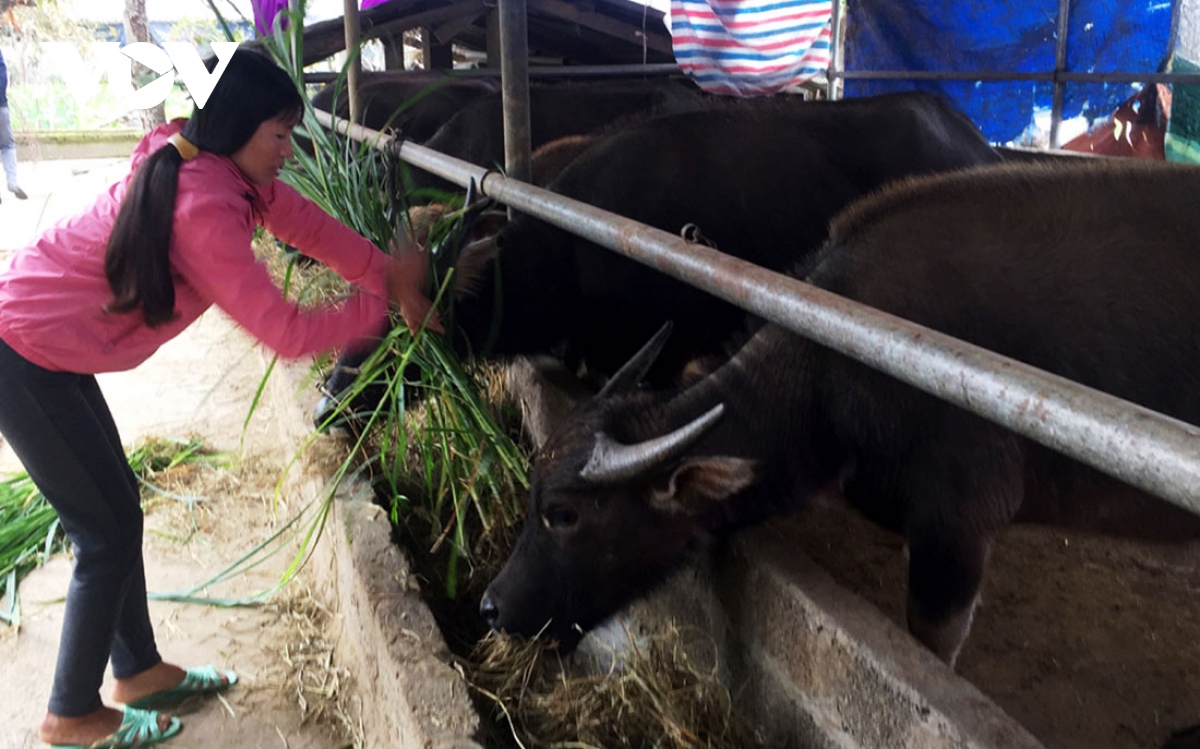  Nền nhiệt ở Lai Châu nhiều nơi giảm sâu, người dân gặp khó khăn