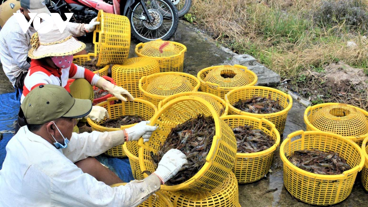 Mỹ bỏ áp thuế chống bán phá giá 1 doanh nghiệp thủy sản Việt Nam