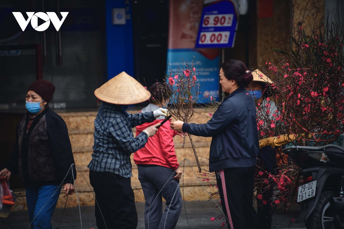Hoa đào tươi thắm mang xuân về phố phường Hà Nội bất chấp Covid-19