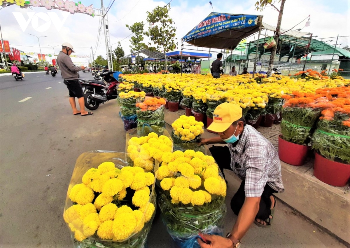Chợ hoa Tết Cà Mau: Ít người mua bán nhưng vẫn nhộn nhịp