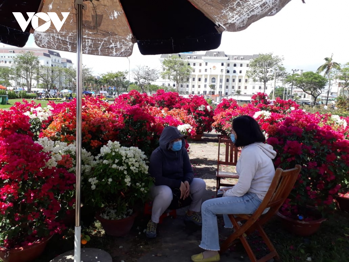 Chợ hoa Tết ở Đà Nẵng vắng người mua
