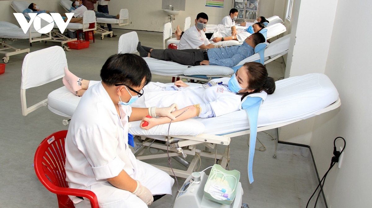 Hàng trăm y, bác sĩ ở Thừa Thiên Huế hiến máu cứu người