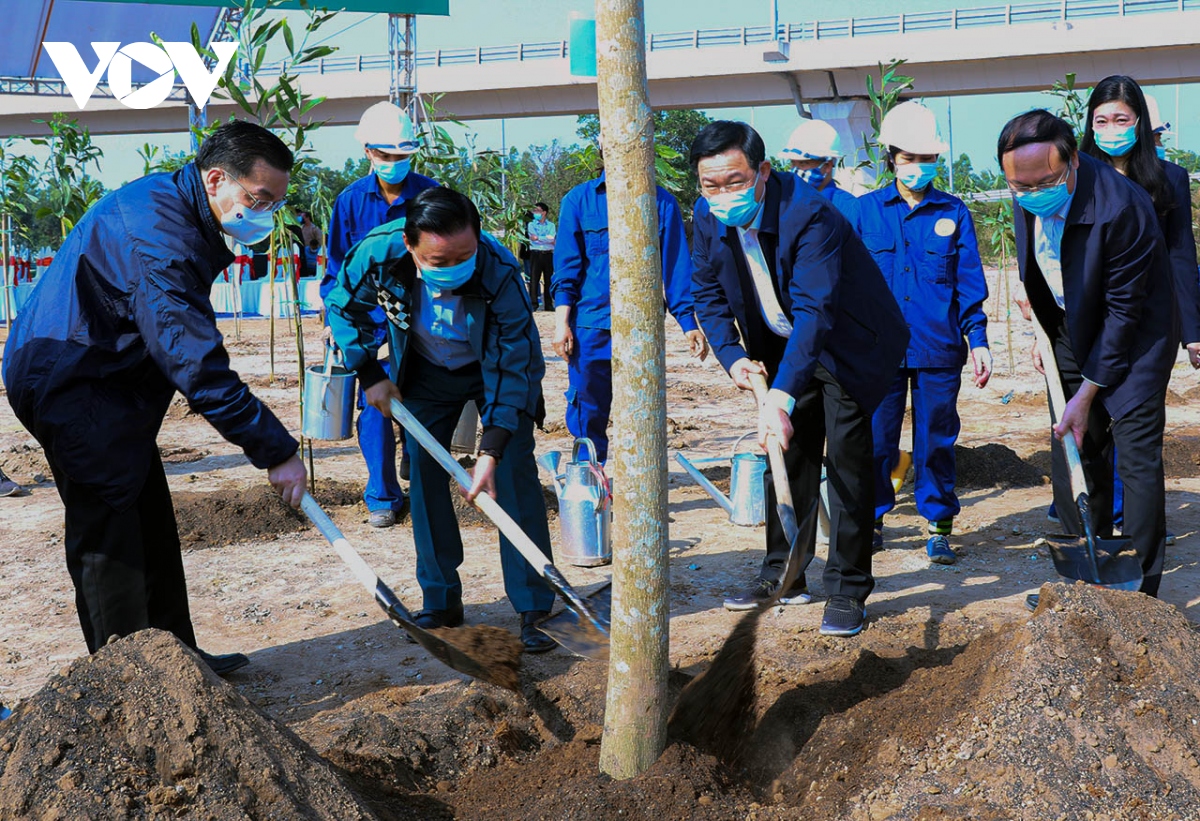 Trồng cây để "Hà Nội trở thành thành phố 4 mùa hoa nở"