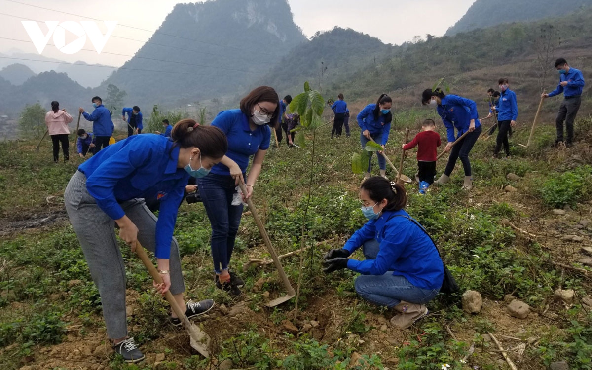 Khởi động Tháng Thanh niên và Tết trồng cây “Đời đời nhớ ơn Bác Hồ”