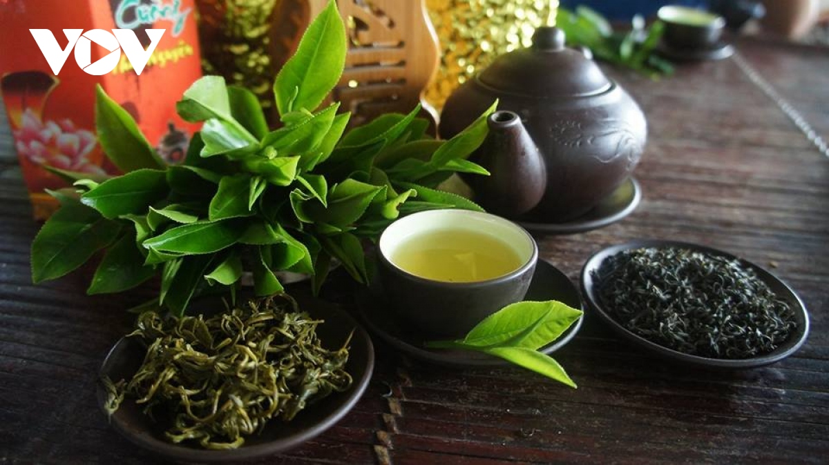Nét văn hóa trà tại Thái Nguyên