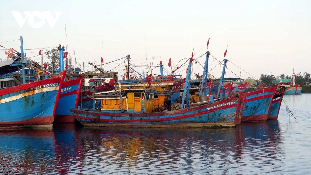 Nan giải bài toán lao động nghề biển ở Quảng Ngãi