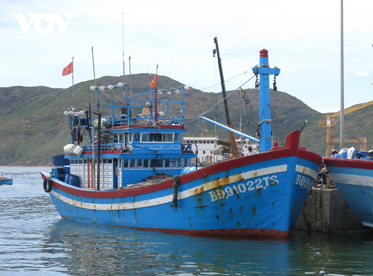 Cấp hơn 2.800 giấy chứng nhận an toàn thực phẩm tàu cá