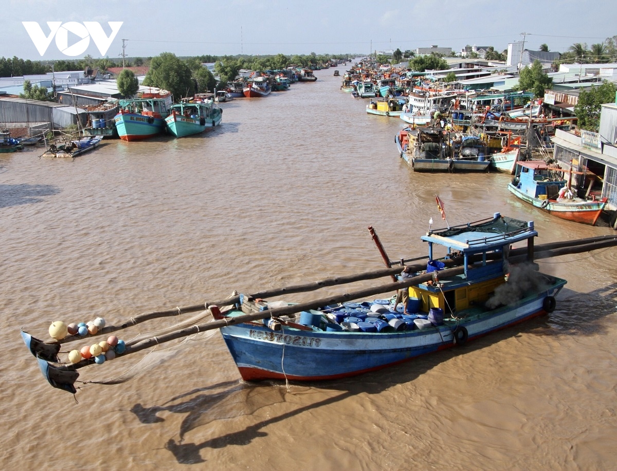 Ngư dân Bạc Liêu phấn khởi vì trúng mùa ruốc