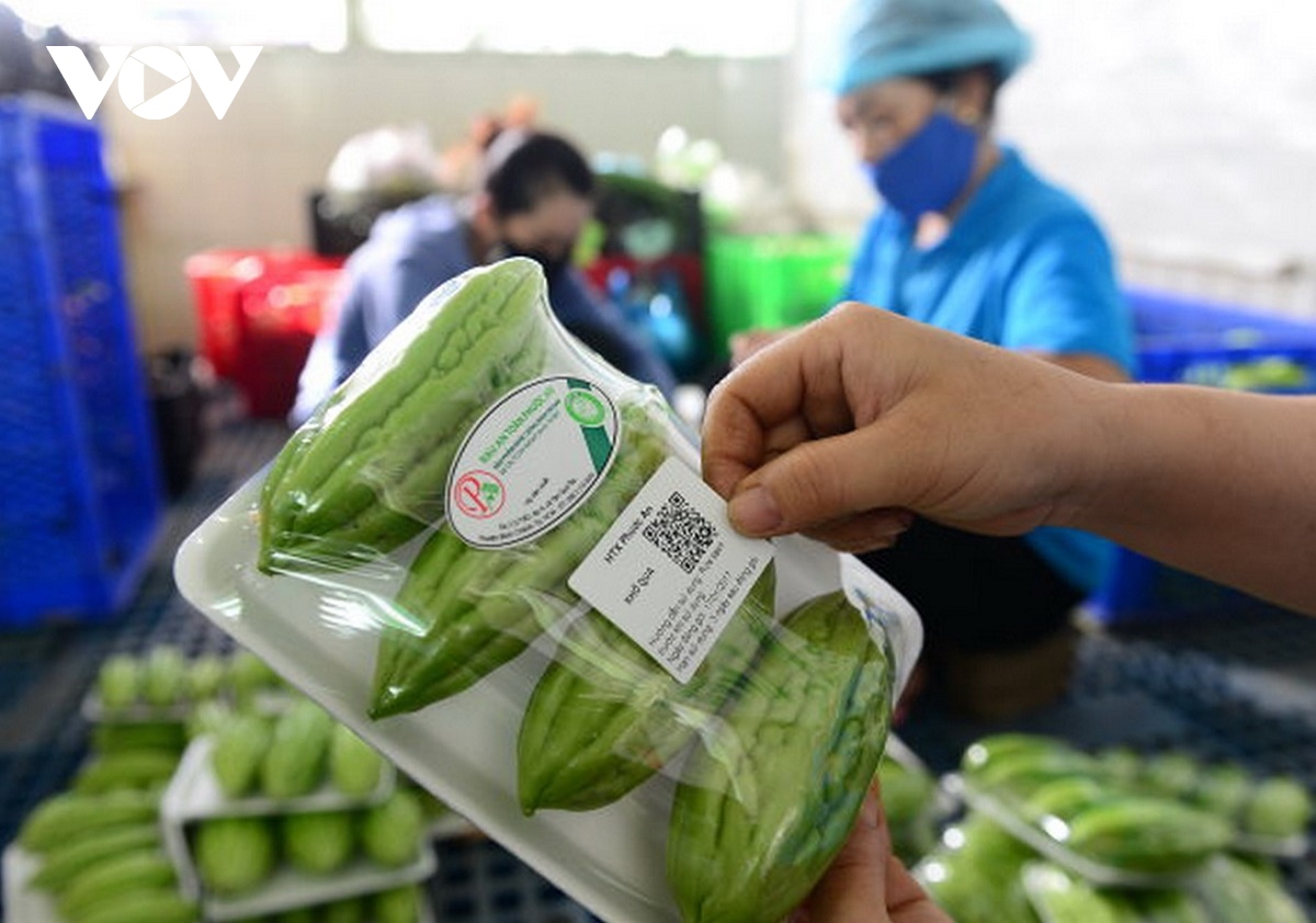 Phú Yên tăng cường truy xuất nguồn gốc sản phẩm góp phần tăng giá trị hàng hóa