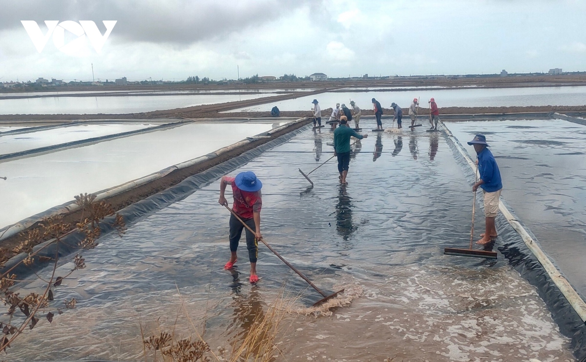 Nghề muối Bạc Liêu luôn đứng trước những thách thức rất lớn