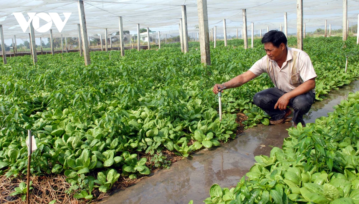 Có nên duy trì hoạt động nông nghiệp ở TP Thủ Đức?