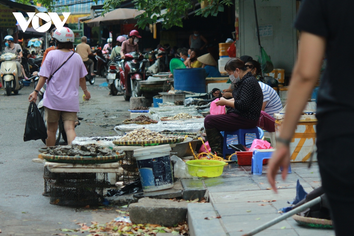 Mặc kệ lệnh cấm, chợ cóc, chợ tạm vẫn hoạt động bình thường