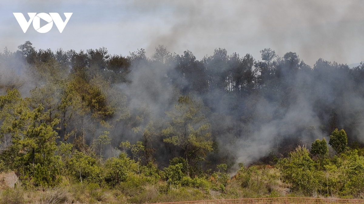 Hàng trăm người khống chế đám cháy rừng ở Quảng Nam
