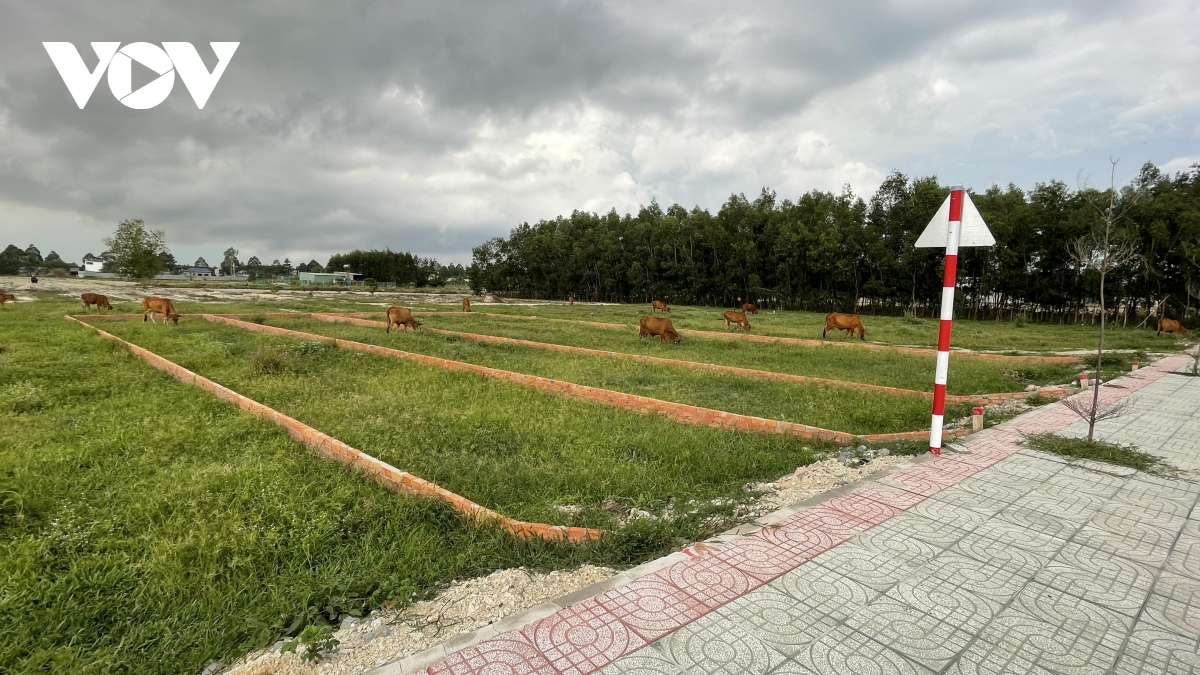 Mất kiểm soát tình trạng phân lô, bán nền trên đất nông nghiệp ở Bà Rịa – Vũng Tàu
