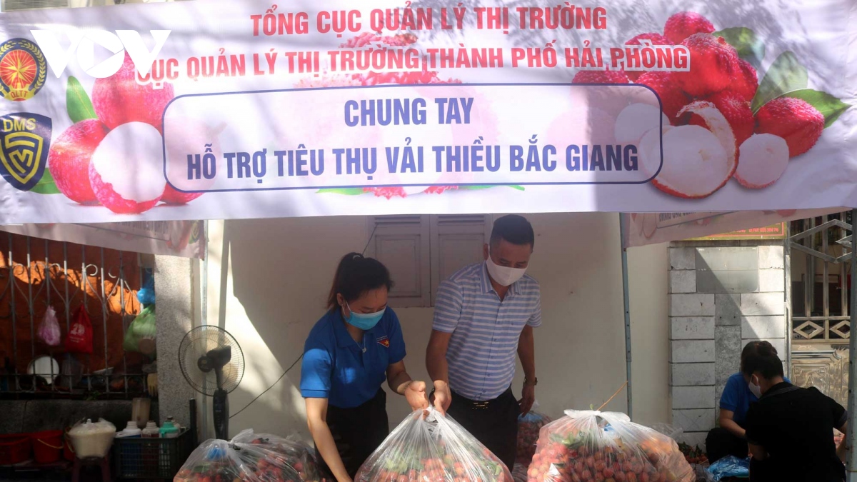 Hải Phòng tiêu thụ 50 tấn vải thiều hỗ trợ nông dân tỉnh Bắc Giang