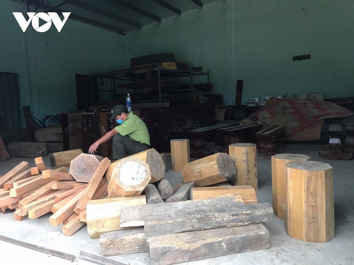 Gia Lai phát hiện thêm gỗ không rõ nguồn gốc trong kho doanh nghiệp ở huyện Kbang