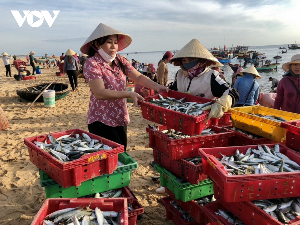 Góp cá gửi người dân vùng dịch ở thành phố Hồ Chí Minh