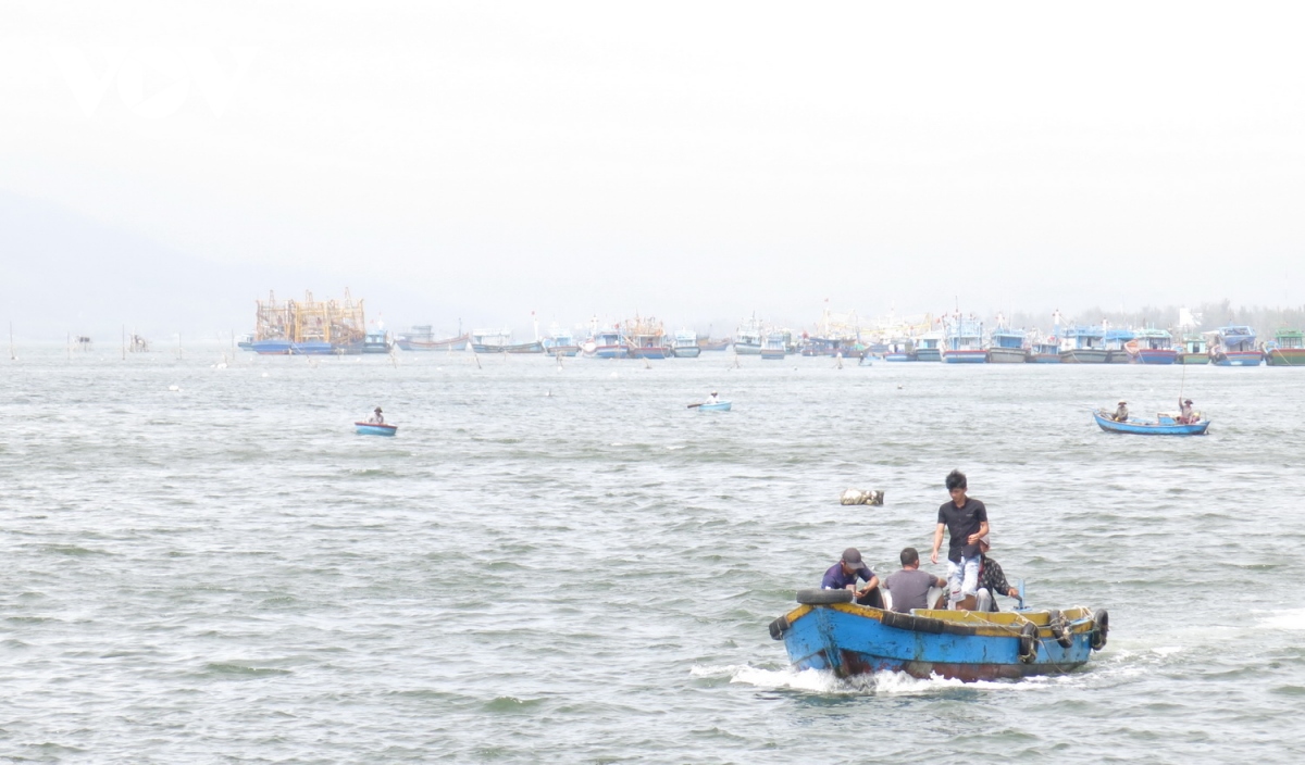 Một thuyền viên Bình Định rơi xuống biển mất tích
