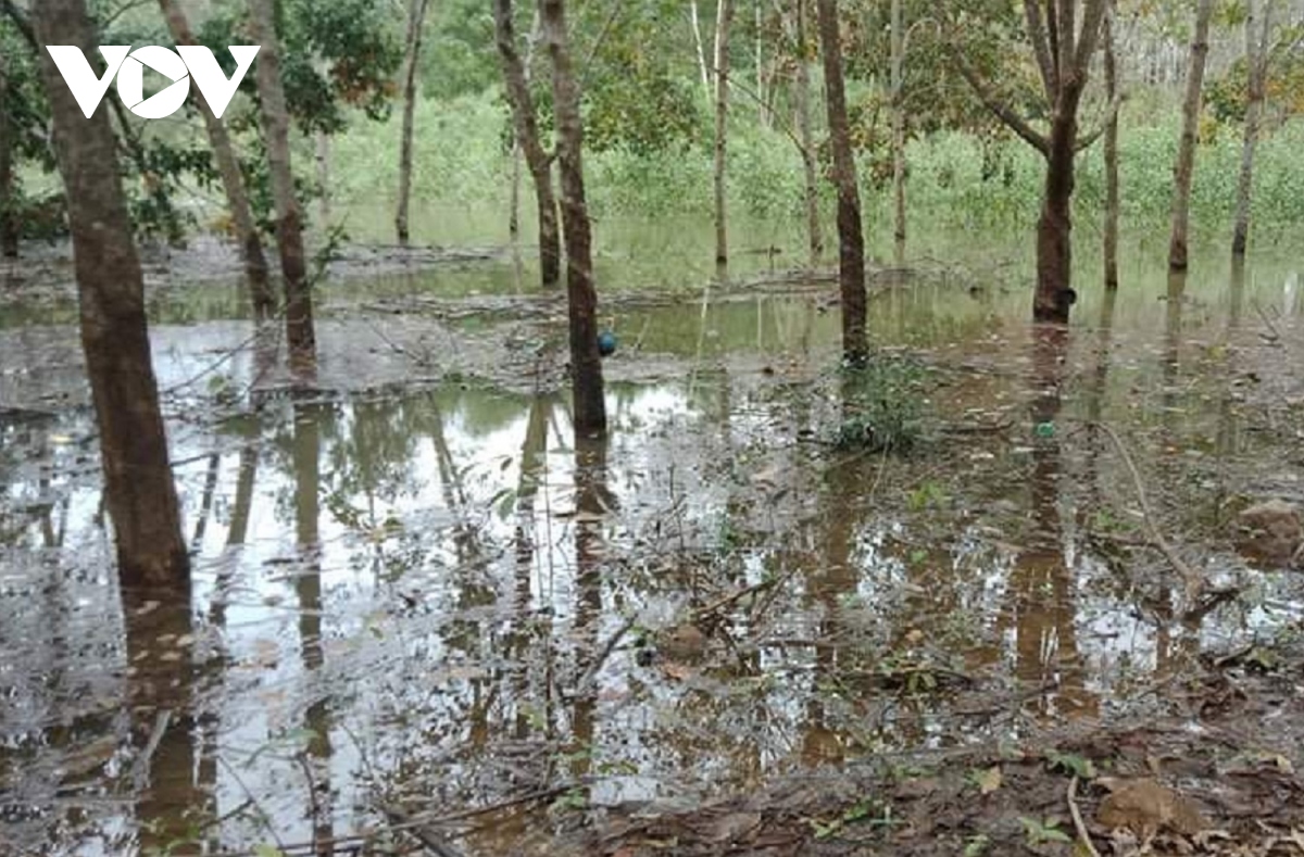 Hàng trăm hộ dân chịu thiệt hại do hồ Tả Trạch tích nước chờ bồi thường