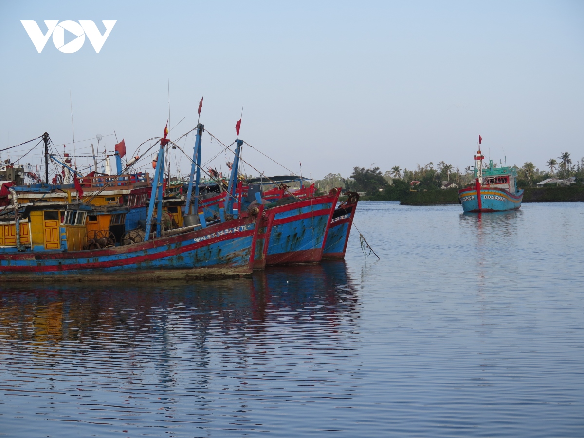 Quảng Ngãi: Điều tra nguyên nhân tai nạn khiến 3 ngư dân tử vong