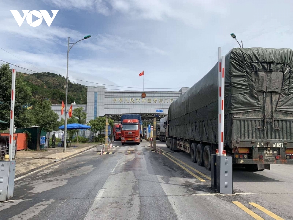 Thực hiện Đề án thí điểm nhập khẩu dược liệu qua cửa khẩu Chi Ma, Lạng Sơn