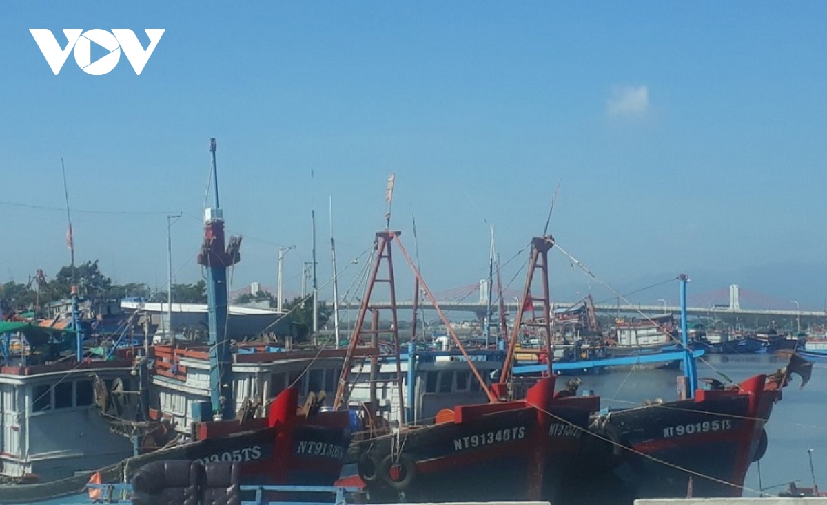 Ninh Thuận tạm dừng hoạt động Cảng cá Đông Hải để phòng dịch