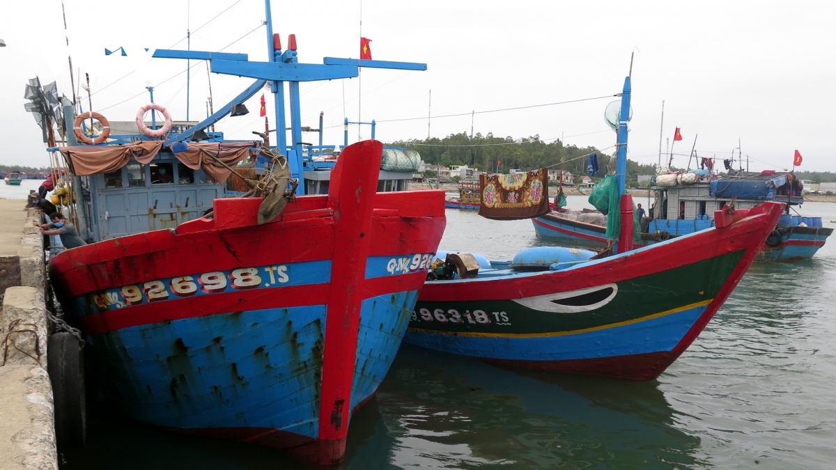 Quảng Ngãi mở cửa cảng cá, tạo thuận lợi cho ngư dân tiêu thụ hải sản
