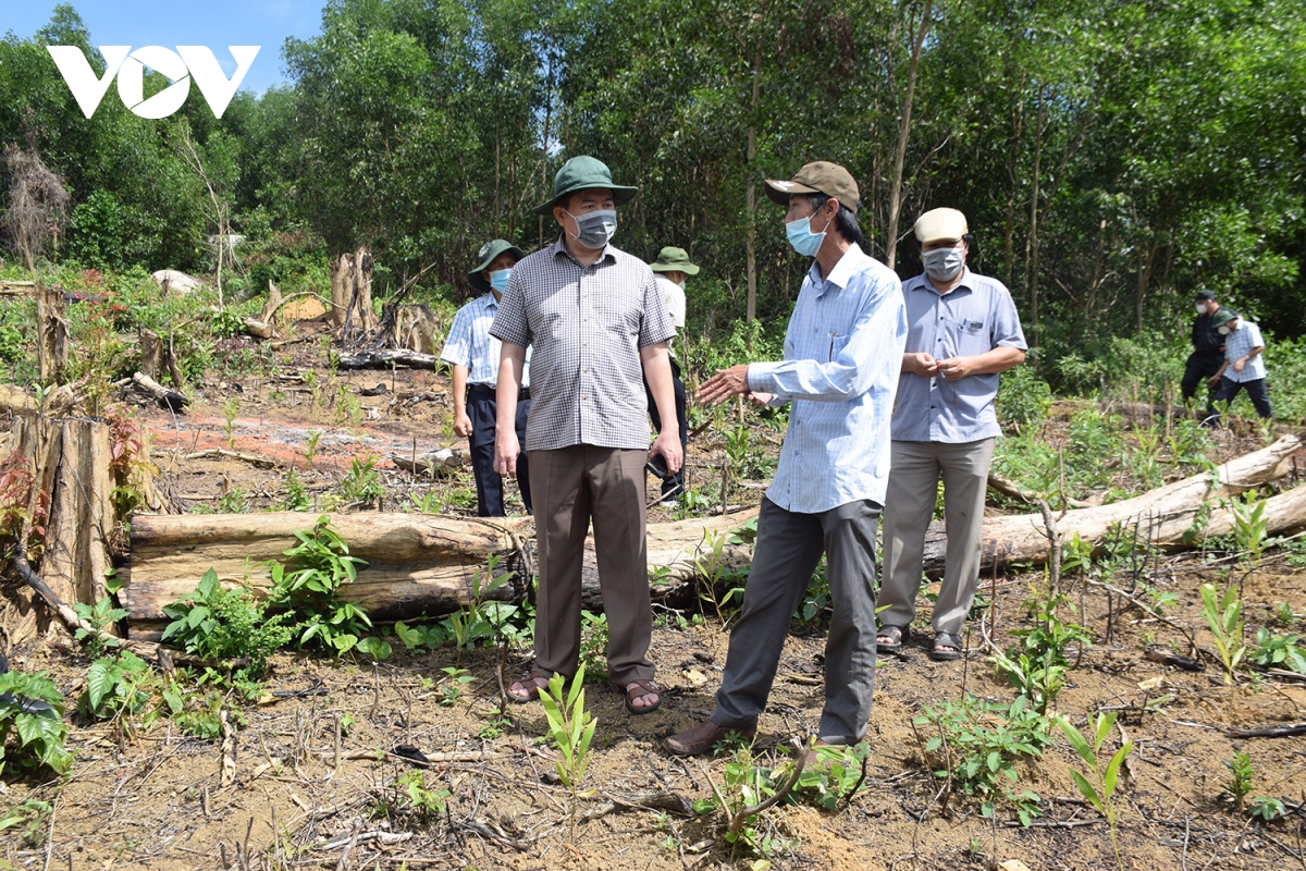 Chủ tịch UBND tỉnh Phú Yên kiểm tra hiện trường rừng phòng hộ Sơn Hòa bị tàn phá