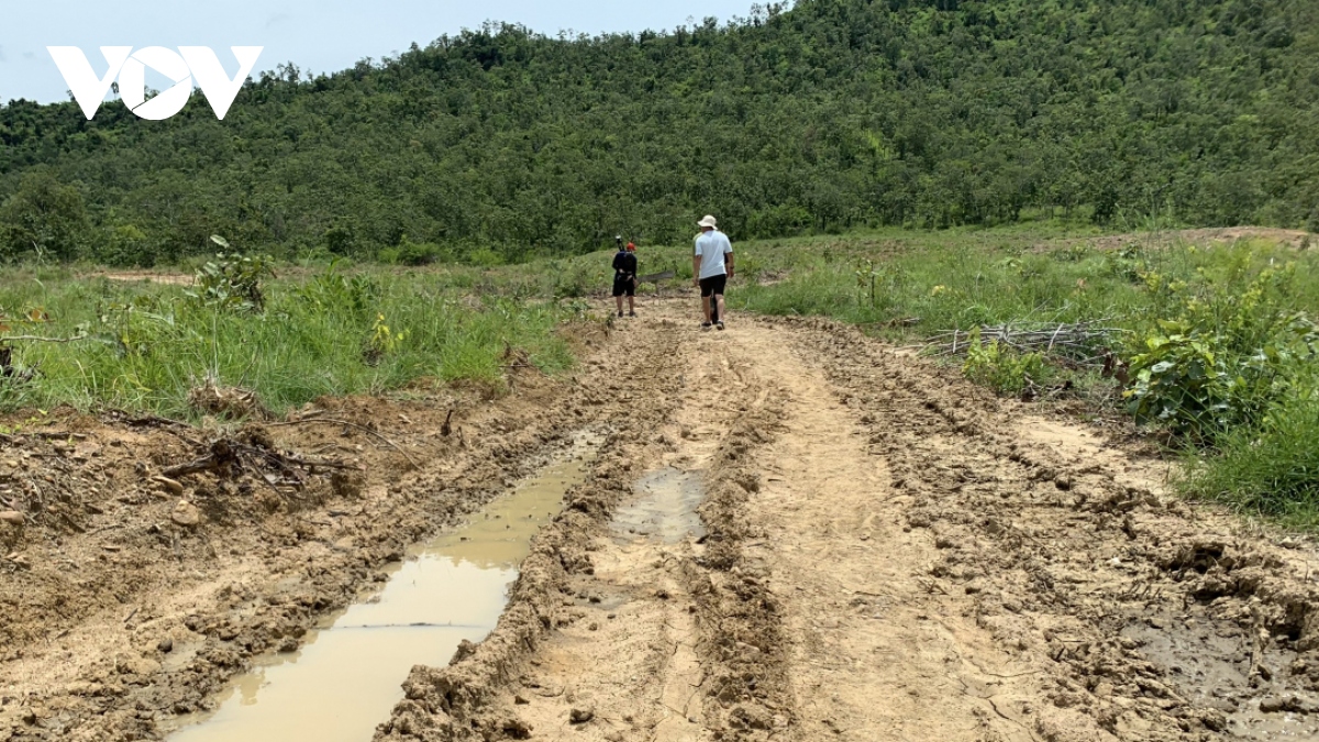 Vụ phá 34,6 ha rừng phòng hộ: Kỷ luật nhiều cán bộ, khởi tố vụ án "huỷ hoại rừng"