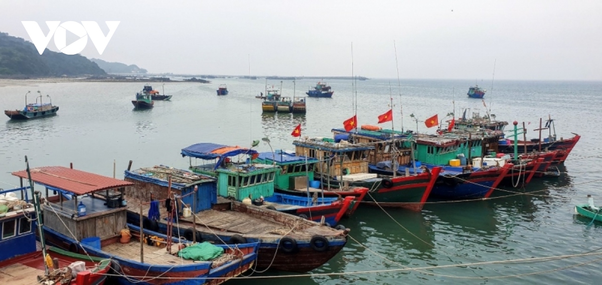 Hải Phòng, Quảng Ninh cấm biển, khẩn trương ứng phó bão số 7