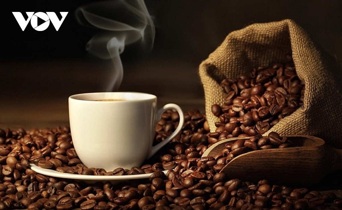 Giá cà phê ngày 1/4: Cà phê trong nước thu mua cao nhất là 98.700 đồng/kg