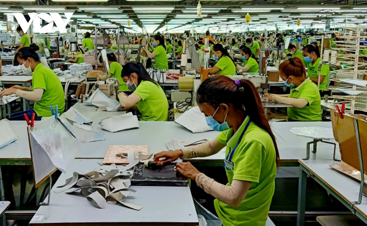 Nhiều doanh nghiệp ở Trà Vinh tái hoạt động sản xuất, kinh doanh