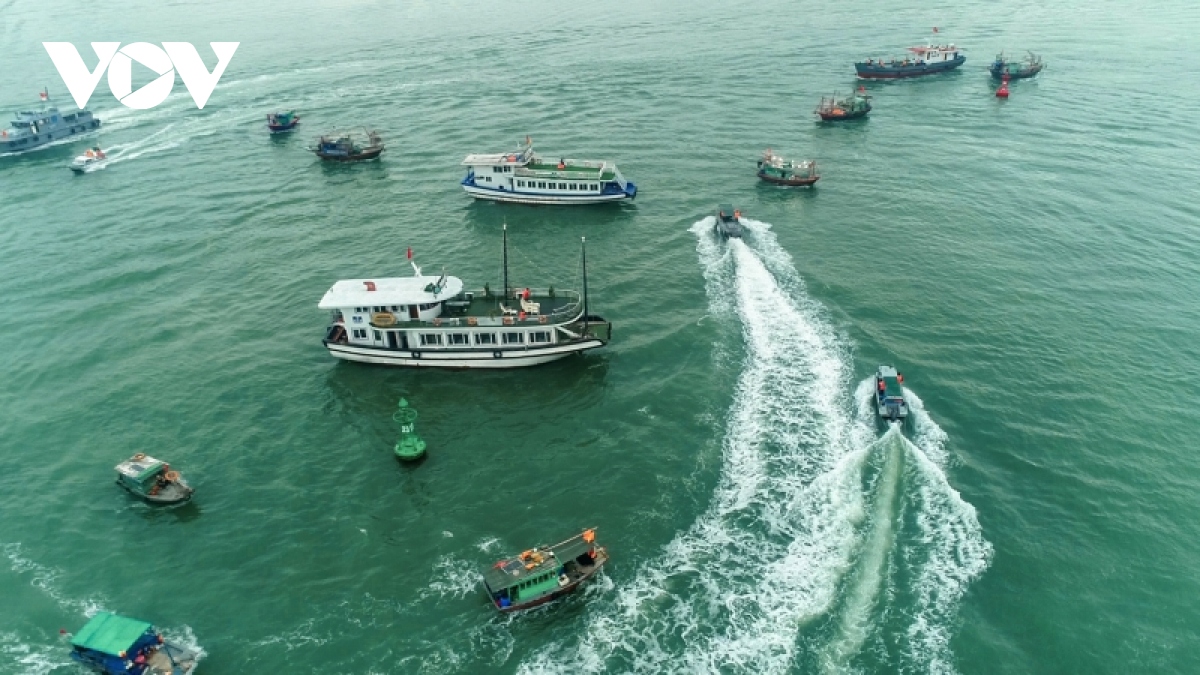 Ảnh: Diễn tập chống siêu bão, tràn dầu trên vịnh Hạ Long