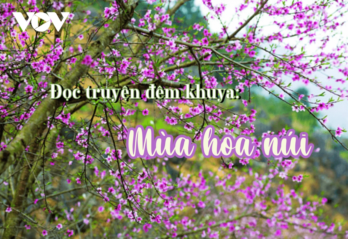 Truyện ngắn: "Mùa hoa núi" - Thấm đẫm văn hóa vùng cao