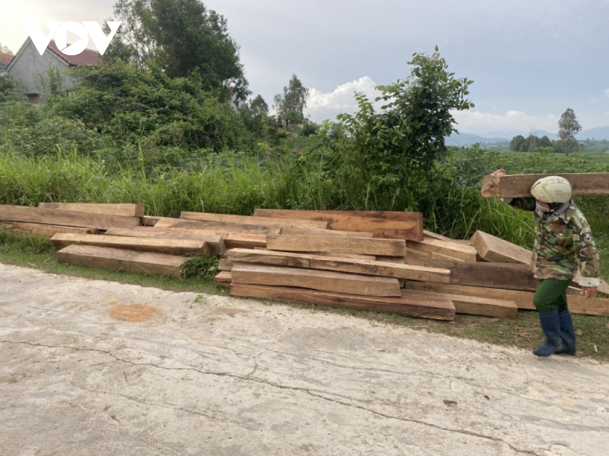 Phú Yên tạm đình chỉ công tác nhân viên bảo vệ rừng vì tàng trữ hơn 155 khúc gỗ