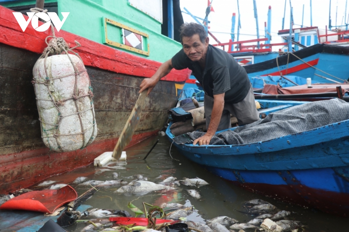 Cá trên sông ở Phú Yên chết hàng loạt, người nuôi thiệt hại nặng