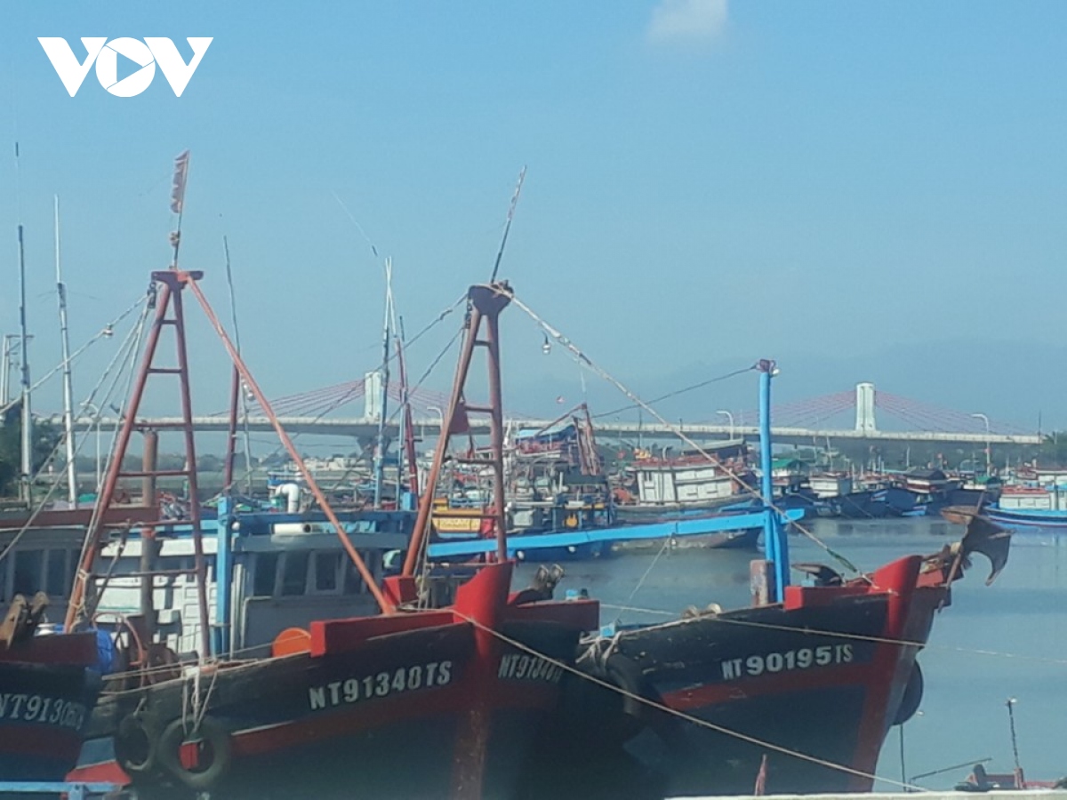 Ninh Thuận mở lại hoạt động cảng cá Đông Hải