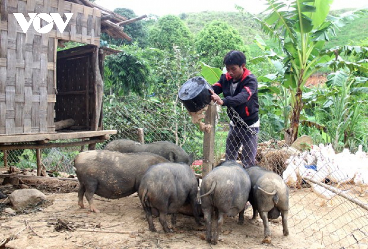 Quảng Nam nâng cao hiệu quả giảm nghèo bền vững