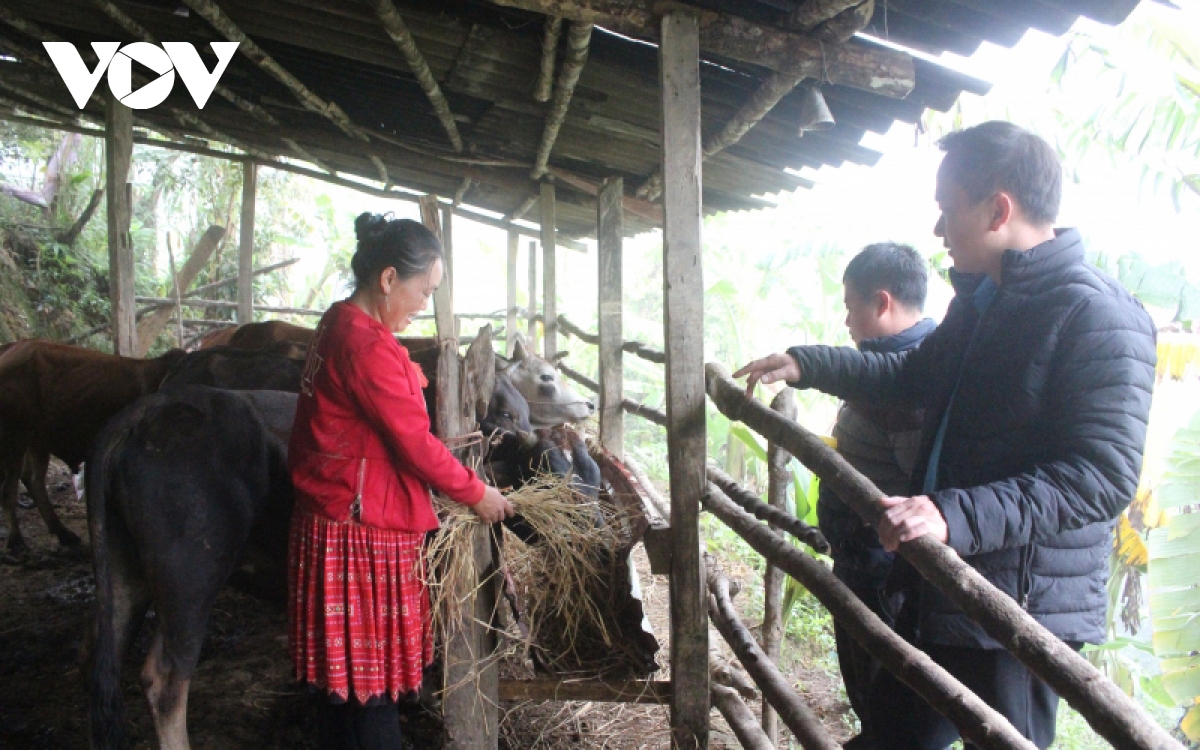 Vùng cao Sơn La chủ động bảo vệ "đầu cơ nghiệp"