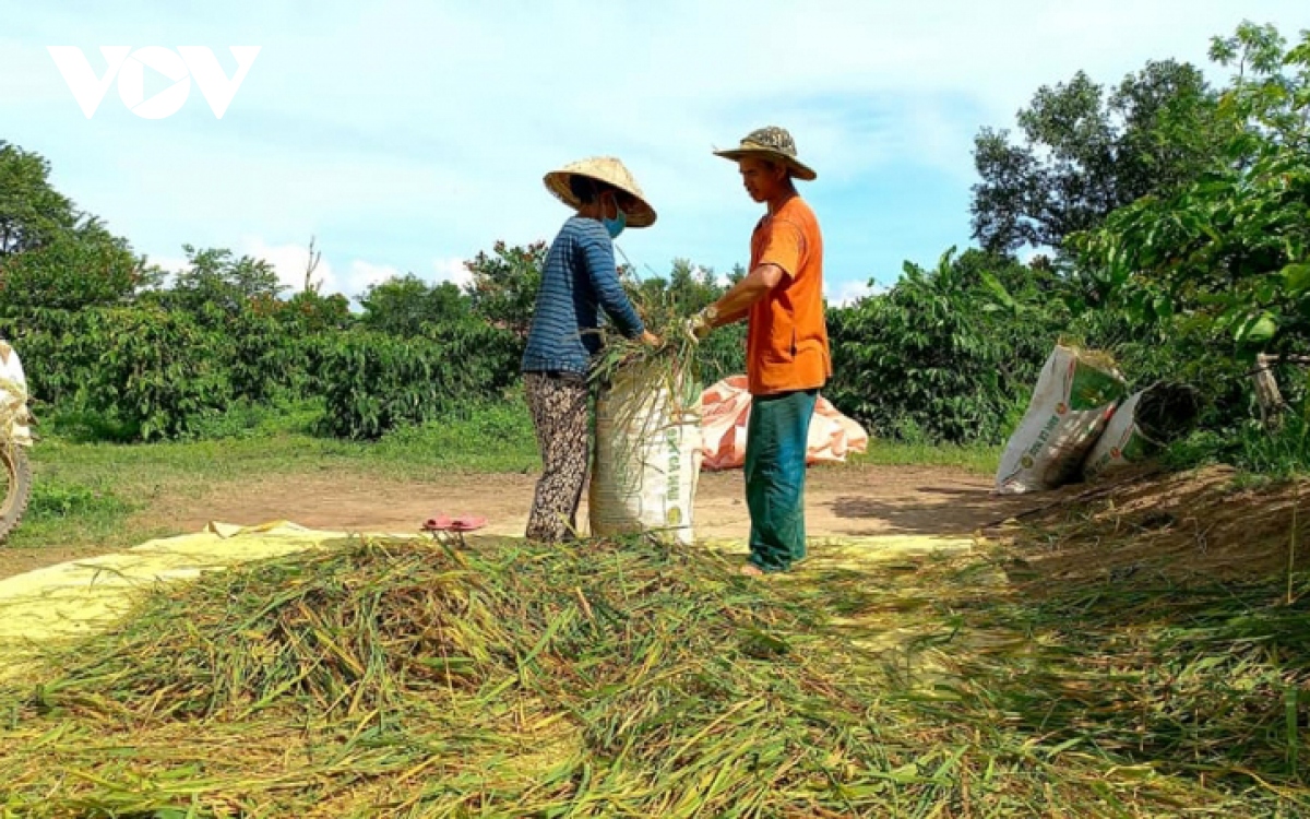 Đắk Lắk: Bình thường mới ở những vùng tâm dịch