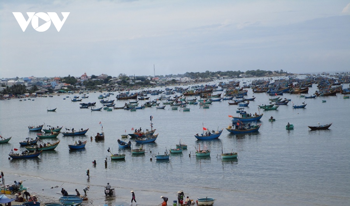 Bình Thuận sẽ không cấp phép đóng mới tàu cá nếu chủ vi phạm khai thác