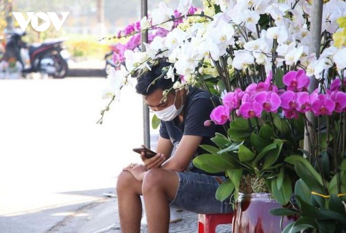Cận Tết, chợ hoa xuân Đà Nẵng vắng người mua