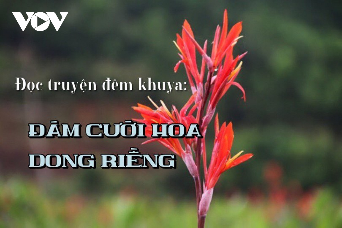 Truyện ngắn “Đám cưới hoa dong riềng” - Tình yêu của lính